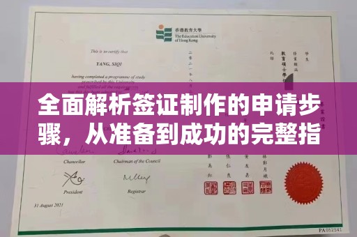 泸西全面解析签证制作的申请步骤，从准备到成功的完整指南